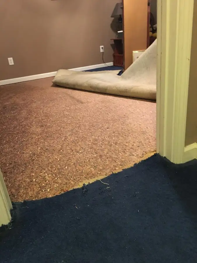 Carpet pad removal revealing water damage during Water Mitigation Services in Denver